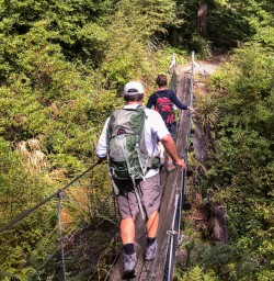 Passing bridge at Routeburn Track, Otago New Zealand