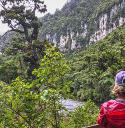 Porarari River, Paparoa National Park West Coast New Zealand