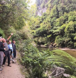 Porarari river, Paparoa National Park West Coast New Zealand