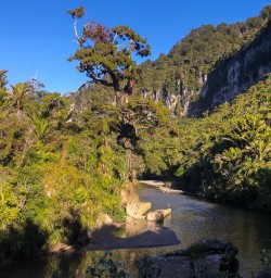 Porarari river, Paparoa National Park West Coast New Zealand