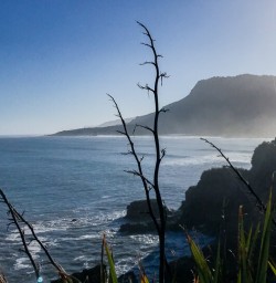 Punakaiki, West Coast New Zealand