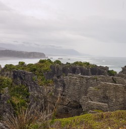 Punakaiki pancake rocks, West Coast New Zealand