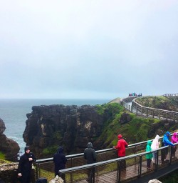 Punakaiki Pancake Rocks