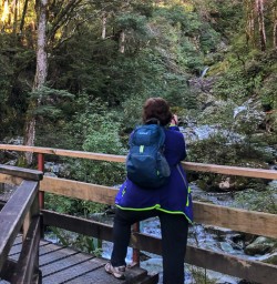 Routeburn track bridge, Otago New Zealand