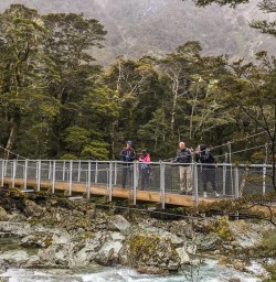 Group on Routeburn Track bridge, Otago New Zealand