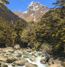 Routeburn track river, Otago New Zealand
