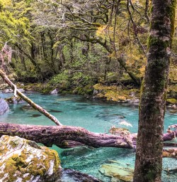 Routeburn track river, Otago New Zealand
