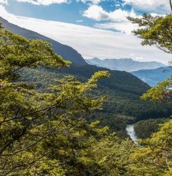 Routeburn track valley, otago new zealand