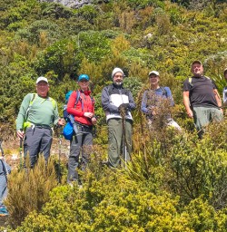 Scaling up Sealy Tarns