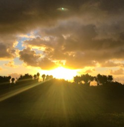 Sun rays at dusk Punakaiki