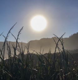 Sunset at Punakaiki pancake rocks and blowholes, West Coast New Zealand