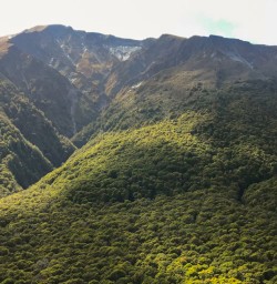 2. Kepler Track Views
