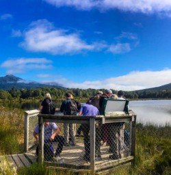 Viewpoint Kepler Track