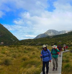 Walking the Hooker Valley Track