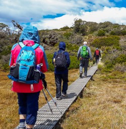 Walking the Key Summit Lookout Trail Lake, Fiordland New Zealand