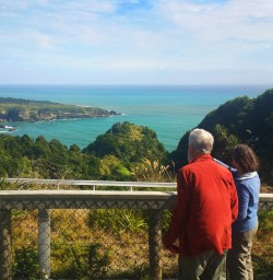 2 west coast lookout new zealand