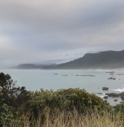 Woodpecker Bay, West Coast New Zealand
