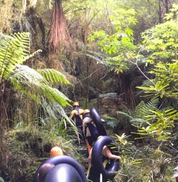 2. Hiking through the bush for tubing