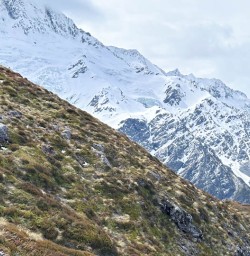 Snowcapped mountains mount cook