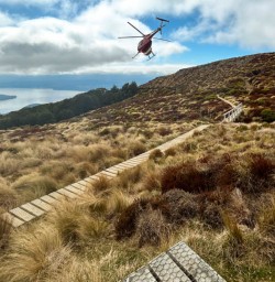 Helicopter flight south island