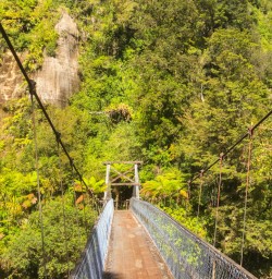 2. Bridge crossing Punakaiki