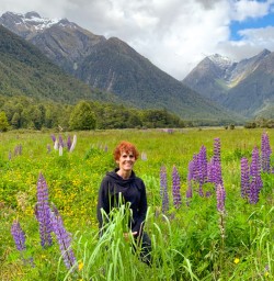 2. Solo guest Lupins MilfordFiordland