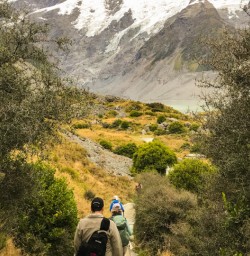 2. Group walking Hooker Valley Track