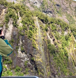 2. Guest taking pictures Milford Cruise