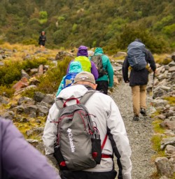 2. Guests walking to Kea Point