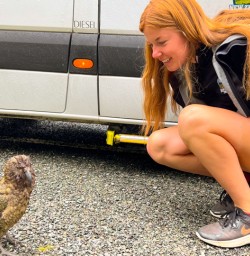 2. Guide and Kea