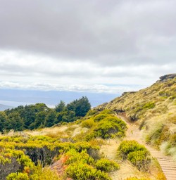2. Kepler Track easy track view