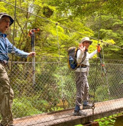2. Kepler Track swingbridge