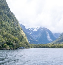 2. Milford Sound boat cruise views