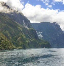 2. Milford Sound boat cruise