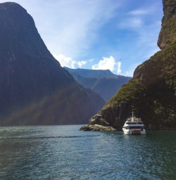 2. Milford Sound cruise views