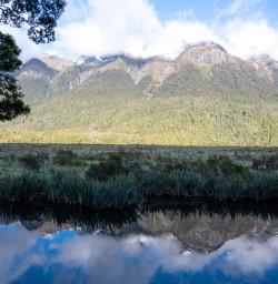 2. Milford Sound reflection