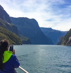 2. Milford Sound views from the cruise