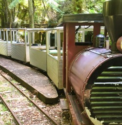 2. Mini train at Punakaiki