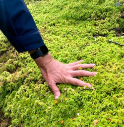 2. Moss on the Kepler Track