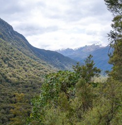 2. Routeburn Track views