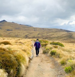 2. Solo guest walking Kepler Track