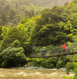 2. Swing brigde and native forest Routeburn Track