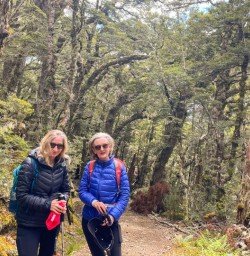 2. Two guests Beech Forest Kepler Track