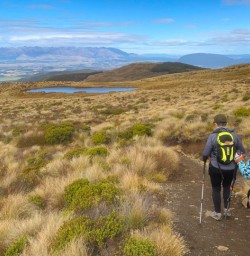 2. Two guests walking Kepler Track
