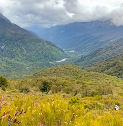 2. Views from the Routeburn Track