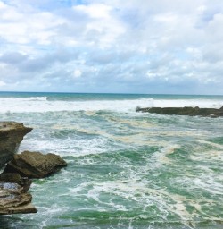 2. West Coast Tasman Sea