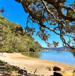 Whitianga golden sand beach
