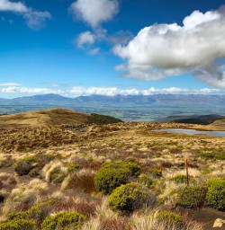 2. kepler track guests on track copy