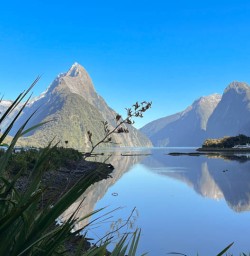 Milford sound cruise adventure