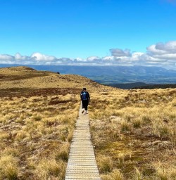 Kepler Track South Island